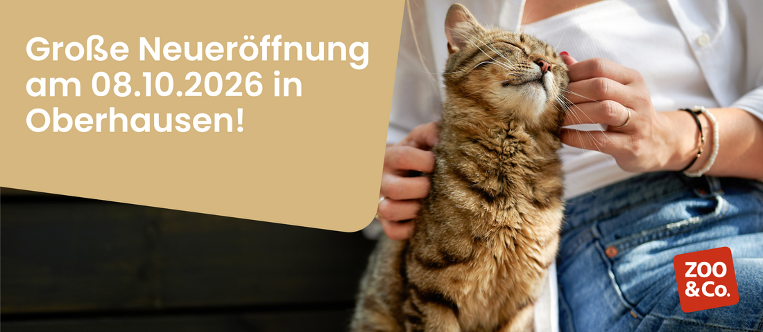 Neueröffnung am 08.10.2026 in Oberhausen!
