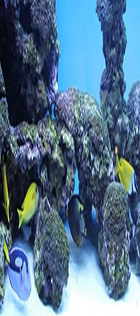 Viele bunte Fische im Salzwasseraquarium 