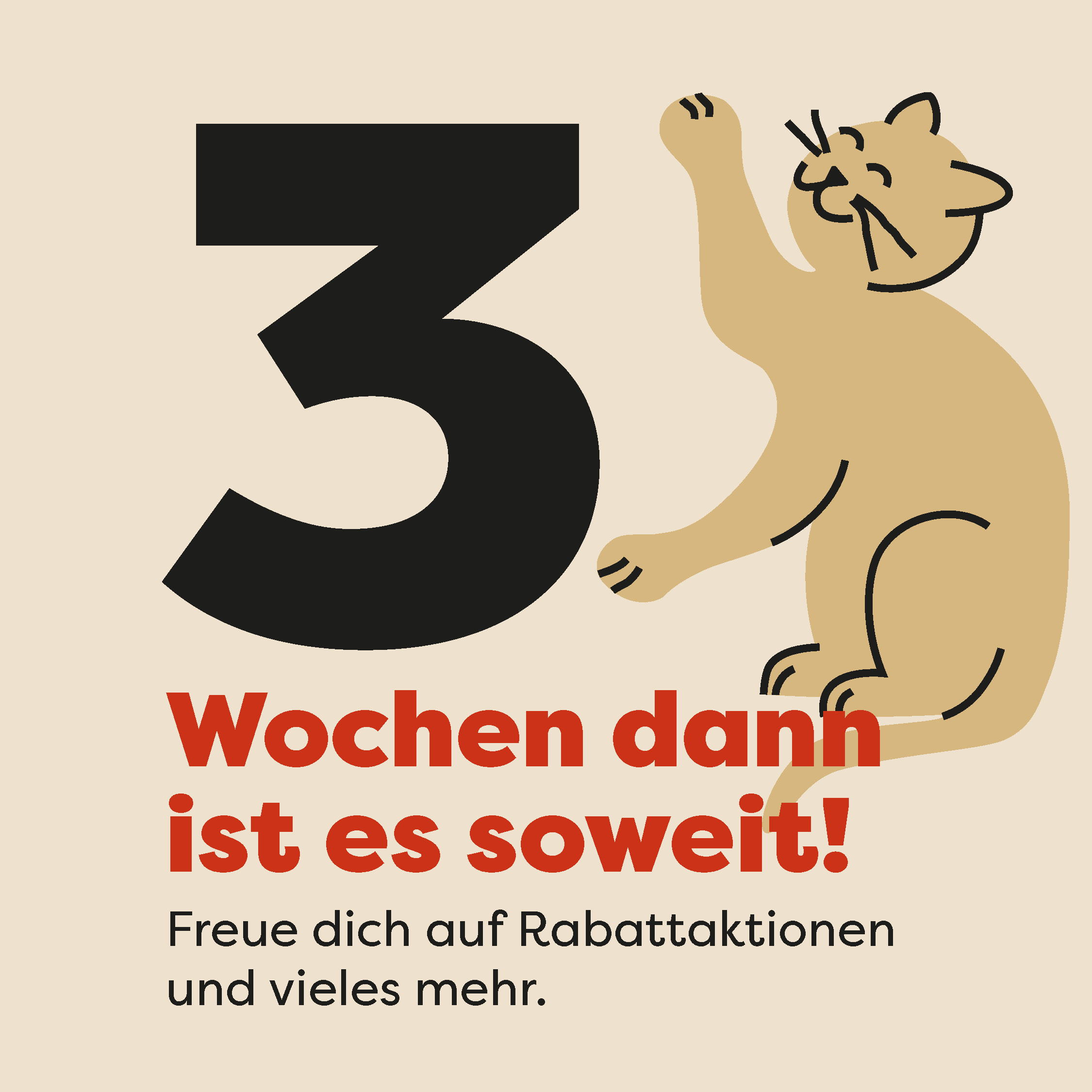 3 Wochen bis zur Neueröffnung